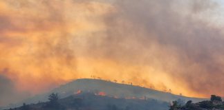 Φωτιά στη Χίο: Πάνω από 150 καμένοι στύλοι ηλεκτροδότησης στο νησί