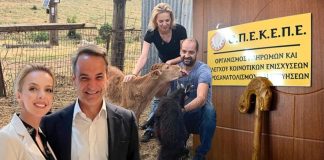 Παρέμβαση της Ευρωπαϊκής Εισαγγελίας για τις επιδοτήσεις-μαμούθ στην Σεμερτζίδου