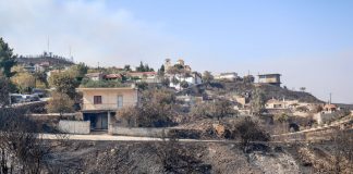 Xίος: Η απόγνωση κατοίκου – «Κάηκαν όλα, το νησί είναι μαύρο, δεν έχουμε τίποτα»