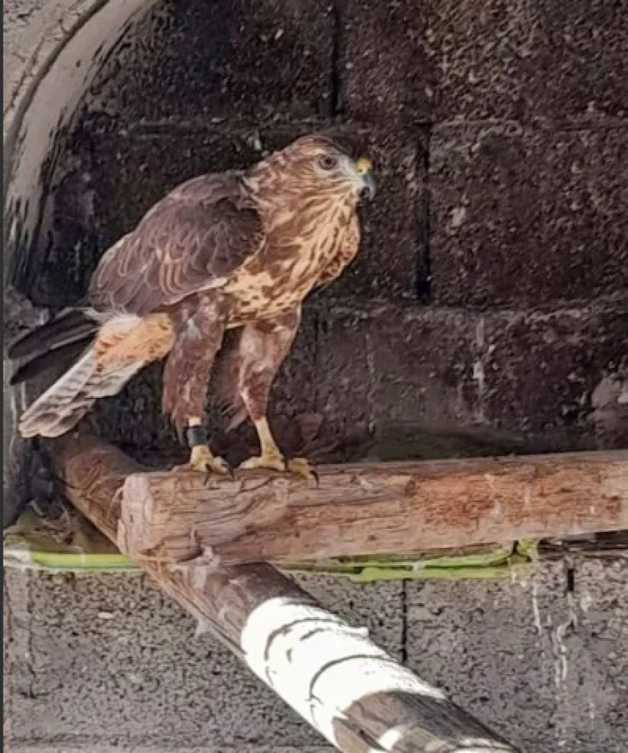 3016450acb7668082ff03f2f7ee17546_L