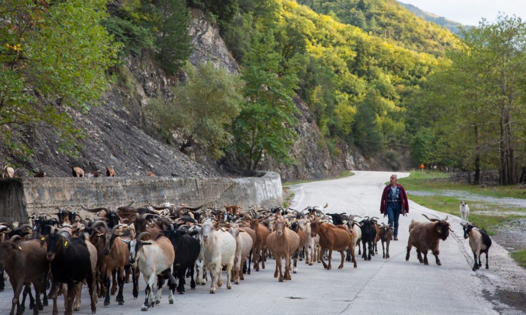 35266215-aigoprovata-opekepe