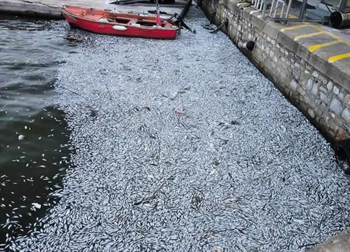 527006813_1220205330123771_9116260306021373901_n