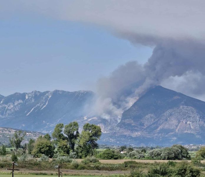 Ενισχύθηκαν οι δυνάμεις για τη φωτιά στη Χόικα Θεσπρωτίας – Επιχειρούν 9 εναέρια μέσα