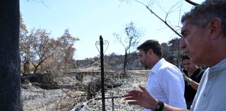 Ανδρουλάκης για Πάτρα: Εξοργιστική η αναποτελεσματικότητα της κυβέρνησης – Η φωτιά μπήκε σε συνοικίες της 3ης μεγαλύτερης πόλης