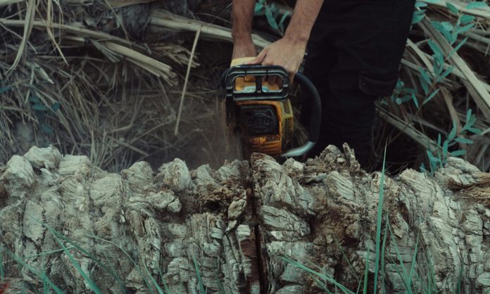 Γιάννενα: Κορμός δένδρου καταπλάκωσε ξυλοκόπο στη Χρυσοβίτσα Ιωαννίνων