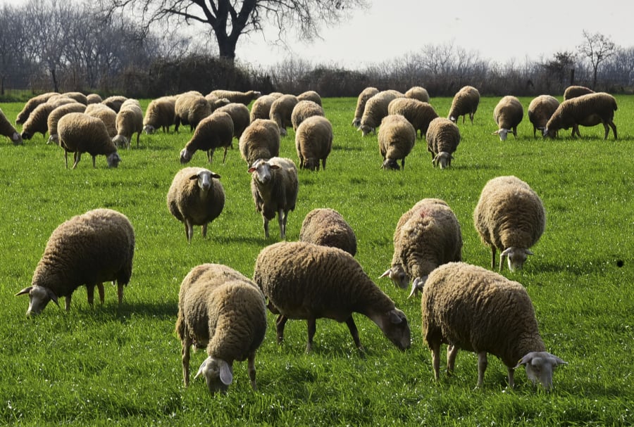 855e34d0cd090596dddffb58df15f9bb_L