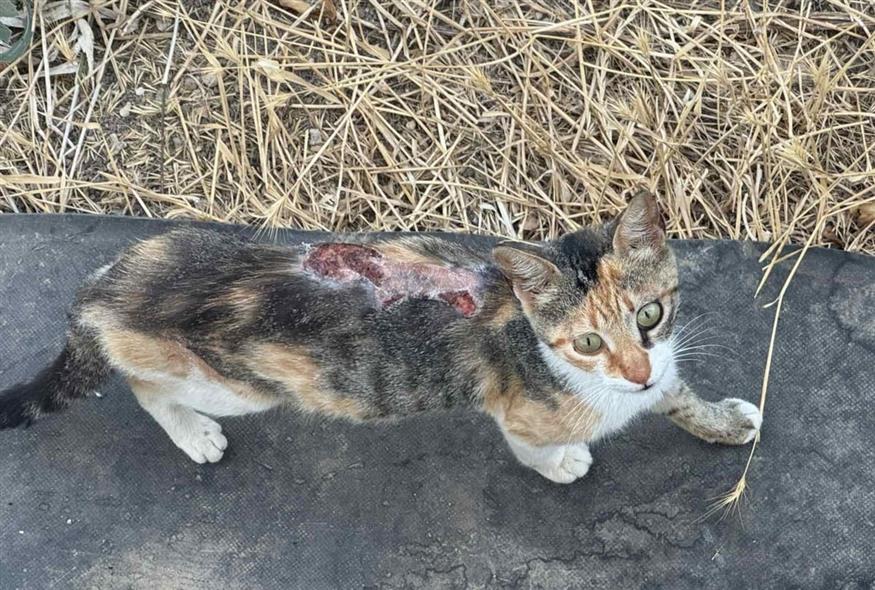 875_f93c1536-0cbe-45b3-a2e5-5e78f5ada265