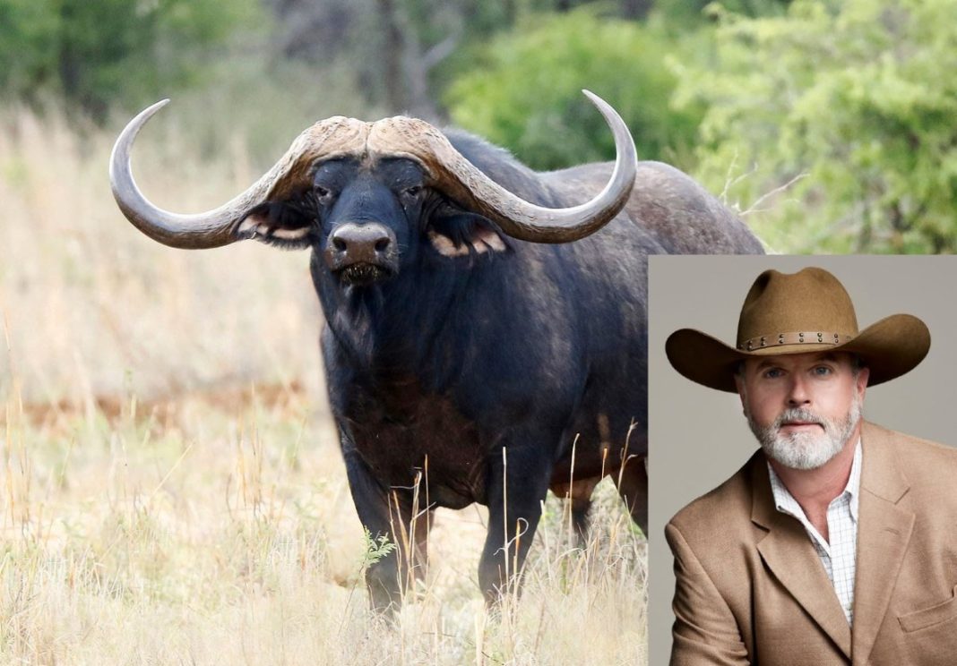 Buffalo-asher-1200x836