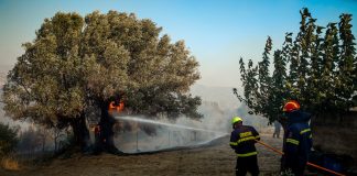 Φωτιά και στη Χίο – Εκκενώνονται χωριά