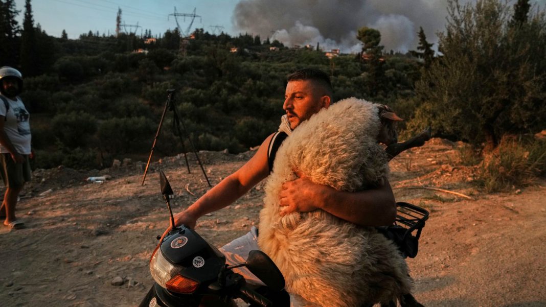 PROBATO_AXAIA_DIASWSH2