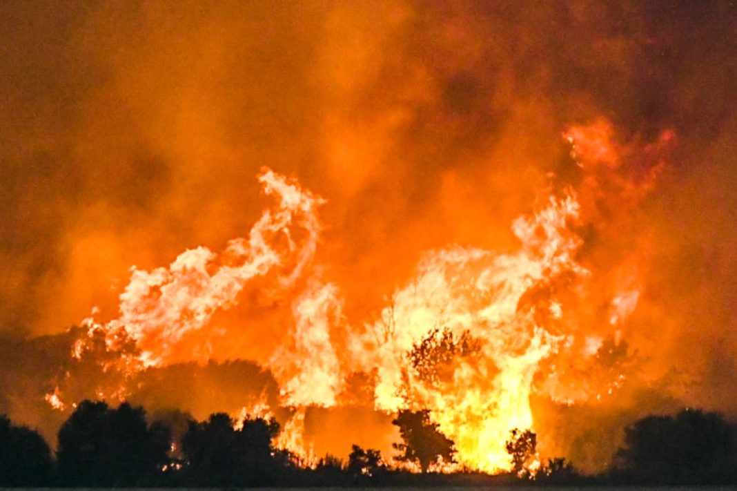 TSA_8_AXAIAC-2b-1-1200x799