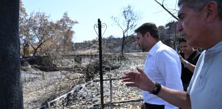 ΠΑΣΟΚ: Σκληρή επίθεση στην κυβέρνηση για τις πυρκαγιές – Συζήτηση στη Βουλή για την Γάζα θέλει ο Ανδρουλάκης