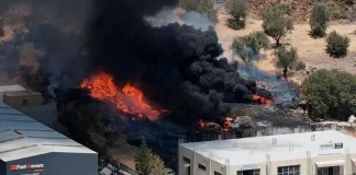 Υπό μερικό έλεγχο η φωτιά κοντά σε επιχειρήσεις στα Αλυφαντά Λέσβου, πυκνός μαύρος καπνός στην περιοχή – (VIDEO)