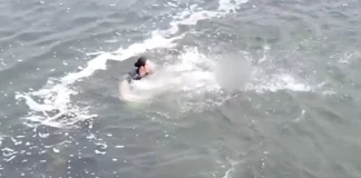 Δραματική καταδίωξη στη Νέα Υόρκη: Γυναίκα αστυνομικός βούτηξε στο νερό για να πιάσει κλέφτη – Προσπάθησε να την πνίξει, την έσωσε ο συνάδελφός της