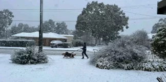 Αυστραλία: Σπάνια χιονόπτωση κάλυψε πόλεις στα ανατολικά – Έπεσαν 50 εκατοστά χιονιού σε μερικές περιοχές