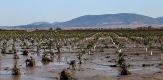 Άφαντες οι αποζημιώσεις 2 χρόνια μετά την κακοκαιρία «Daniel» – Σε απόγνωση αγρότες και κτηνοτρόφοι