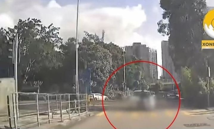 dc19f883-1755281848851-25270054-image1