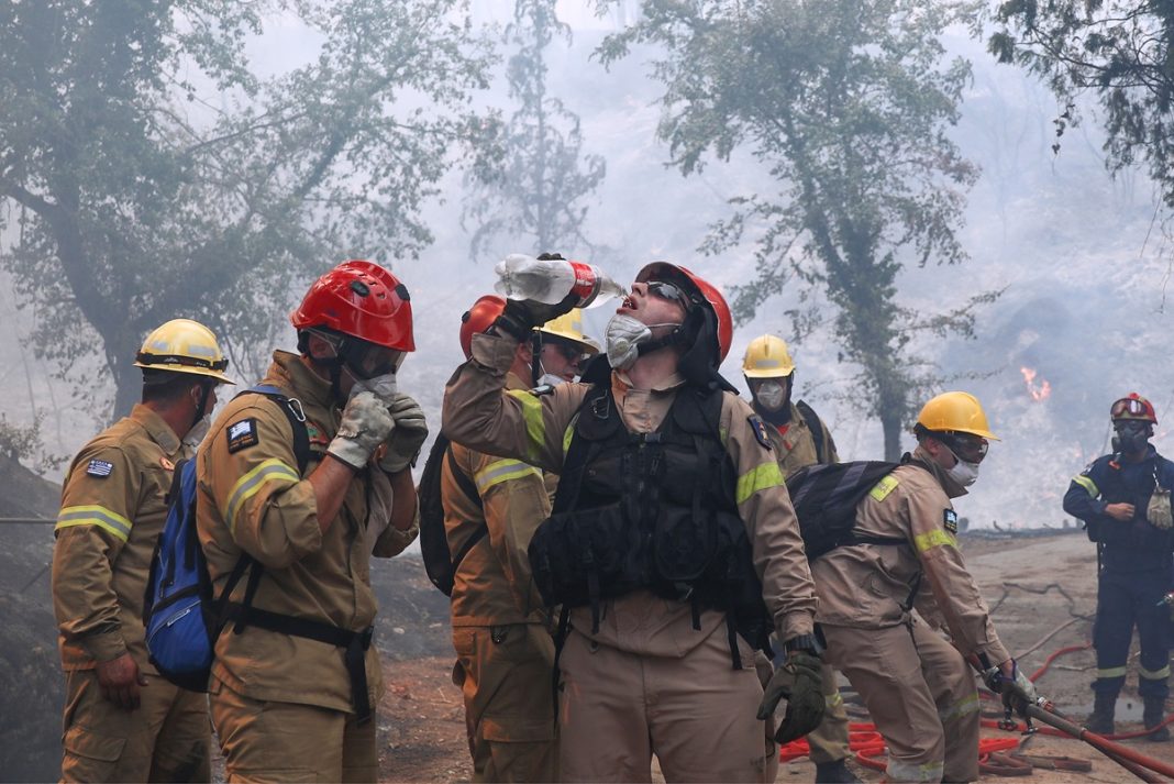 ÄÁÓÉÊÇ ÐÕÑÊÁÃÉÁ ÓÔÁ ÂÁÓÉËÉÊÁ ÊÔÇÌÁÔÁ