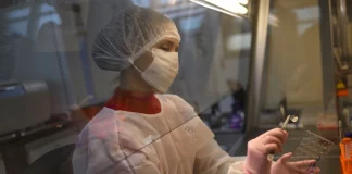 Συναγερμός στις ΗΠΑ για το παράσιτο «σαρκοφάγα αλογόμυγα» – Εντοπίστηκε το πρώτο κρούσμα σε άνθρωπο