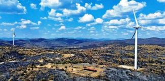 Κάτι τρέχει στα καμένα του Έβρου