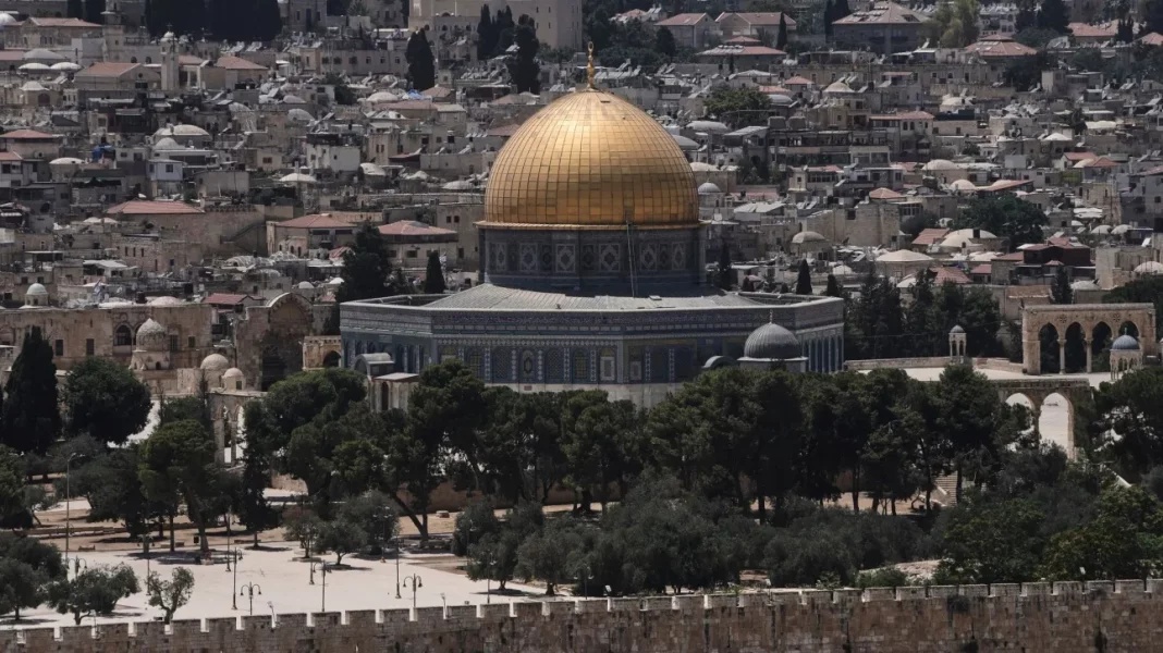 f7978121-ap25164398138534