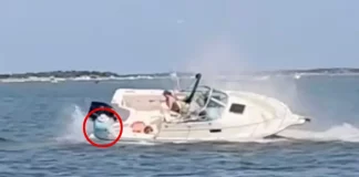 Νιού Τζέρσεϊ: Η στιγμή που φάλαινα ρίχνει στο νερό γυναίκα από σκάφος