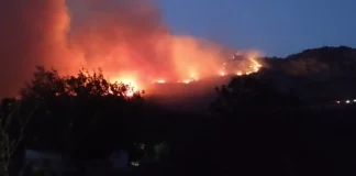 Θάνος Πλεύρης: Εκκενώθηκε η δομή φιλοξενίας αιτούντων άσυλο στη Φιλιππιάδα, λόγω της φωτιάς