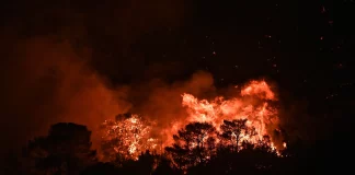 Σηκώθηκαν τα εναέρια μέσα στην Ανατολική Αττική: Νέο 112 για εκκένωση των περιοχών Χάρβαλο, Άγιος Νικόλαος και Μαύρο Λιθάρι