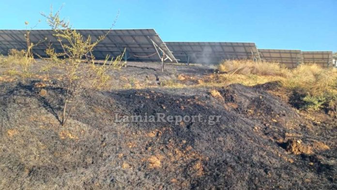 Φωτιά στον Άγιο Στέφανο Δομοκού κοντά σε φωτοβολταϊκά