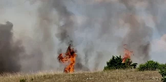 Πρέβεζα: Μαίνεται πύρινο μέτωπο στη Βρυσούλα – Καίγονται σπίτια, απομακρύνονται οι ηλικιωμένοι από το χωριό