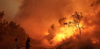 Μυτιλήνη: Προφυλακιστέος ο 57χρονος κατηγορούμενος για 7 πυρκαγιές στη Δυτική Λέσβο