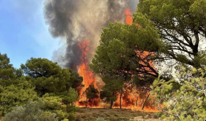 Φωτιά στη Νέα Μοσυνούπολη Ροδόπης – «Παραμείνετε σε ετοιμότητα»