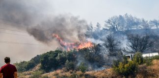 Φωτιές: Βρέθηκε γκαζάκι στην Πάτρα – «Παλέψαμε όσο μπορούσαμε, κάηκαν τα σπίτια μας», λένε κάτοικοι