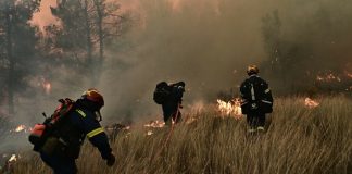 Πυρκαγιά ξέσπασε στον Δήμο Νέστου