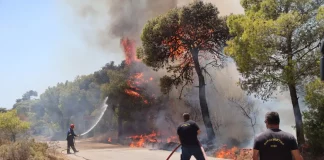 Φωτιά στη Φωκίδα: Οι φλόγες καίνε δάσος στον Δαφνό