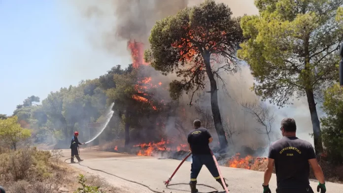 Φωτιά στη Φωκίδα: Οι φλόγες καίνε δάσος στον Δαφνό