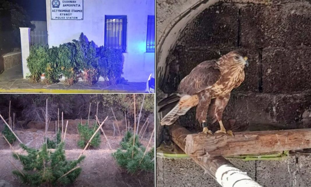 geraki_santorini-1162x700