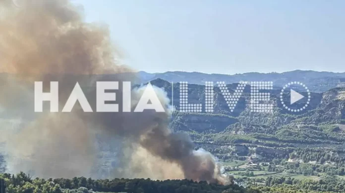 Φωτιά τώρα στο Χελιδόνι της Αρχαίας Ολυμπίας