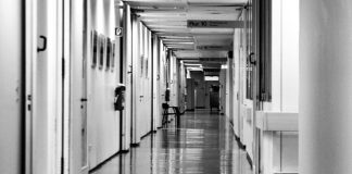 Αποκάλυψη: «Κάθαρση» κατ’ επιλογή και μυστική έρευνα των «αδιάφθορων» της ΕΛΑΣ μετά την «υπόθεση της Αμαλιάδας»