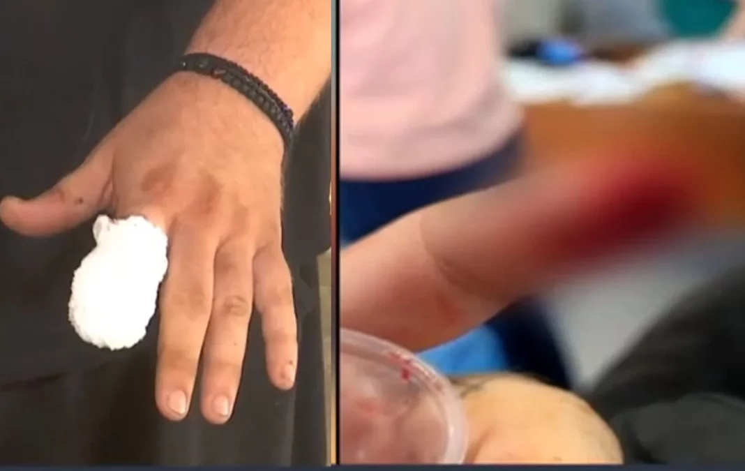 keimeno_kommeno_dahtylo