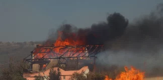 Σε δύσκολη θέση η διοίκηση του ΔΕΔΔΗΕ – Συνελήφθησαν δύο υπάλληλοί του για τη φωτιά στην Κερατέα