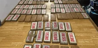 Κοκαΐνη αξίας 5,5 εκατ. ευρώ εντοπίστηκε σε κοντέινερ στο λιμάνι της Θεσσαλονίκης (video)