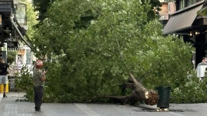 «Σαρώνει» την Δυτική Ελλάδα η κακοκαιρία: Ξεριζωμένα δέντρα και φωτιές – Έφυγαν μέχρι και κάγκελα από μπαλκόνι (Videos)