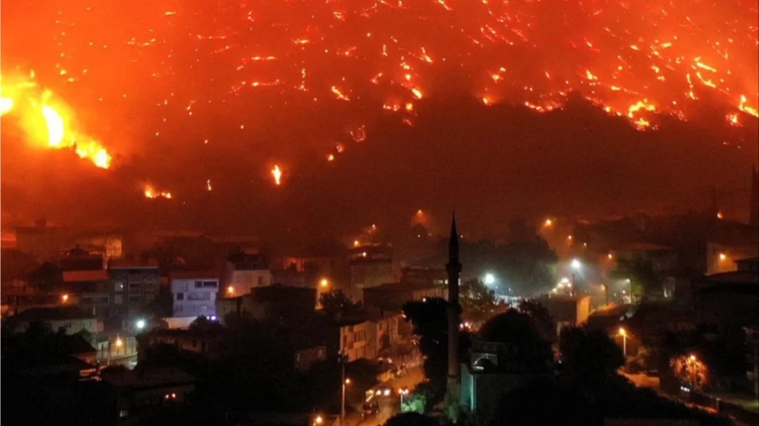 mixcollage-12-aug-2025-03-00-am-2784