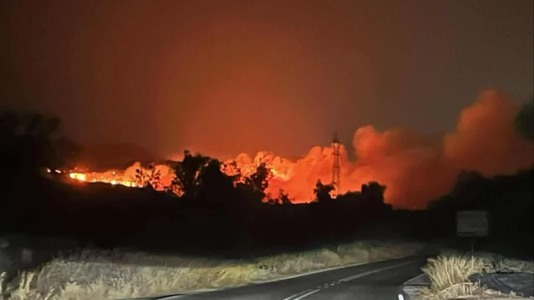 mixcollage-13-aug-2025-04-13-am-3057