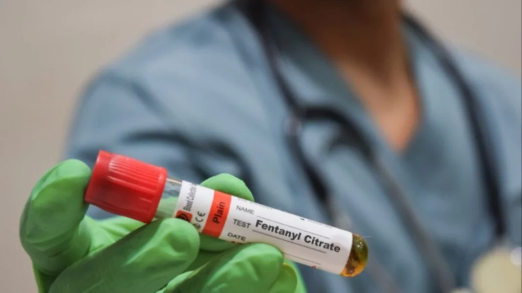 mixcollage-14-aug-2025-05-32-am-1365