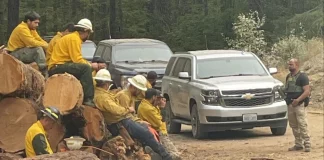 «Παράλογη ενέργεια»: Συνοριοφύλακες συνέλαβαν δύο πυροσβέστες που επιχειρούσαν σε δασική πυρκαγιά των ΗΠΑ
