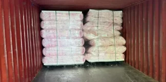 ΔΑΟΕ : Κατασχέθηκε πάνω από μισός τόνος ακατέργαστης κάνναβης στο λιμάνι του Πειραιά – 3 συλλήψεις στη Βουλγαρία (βίντεο)