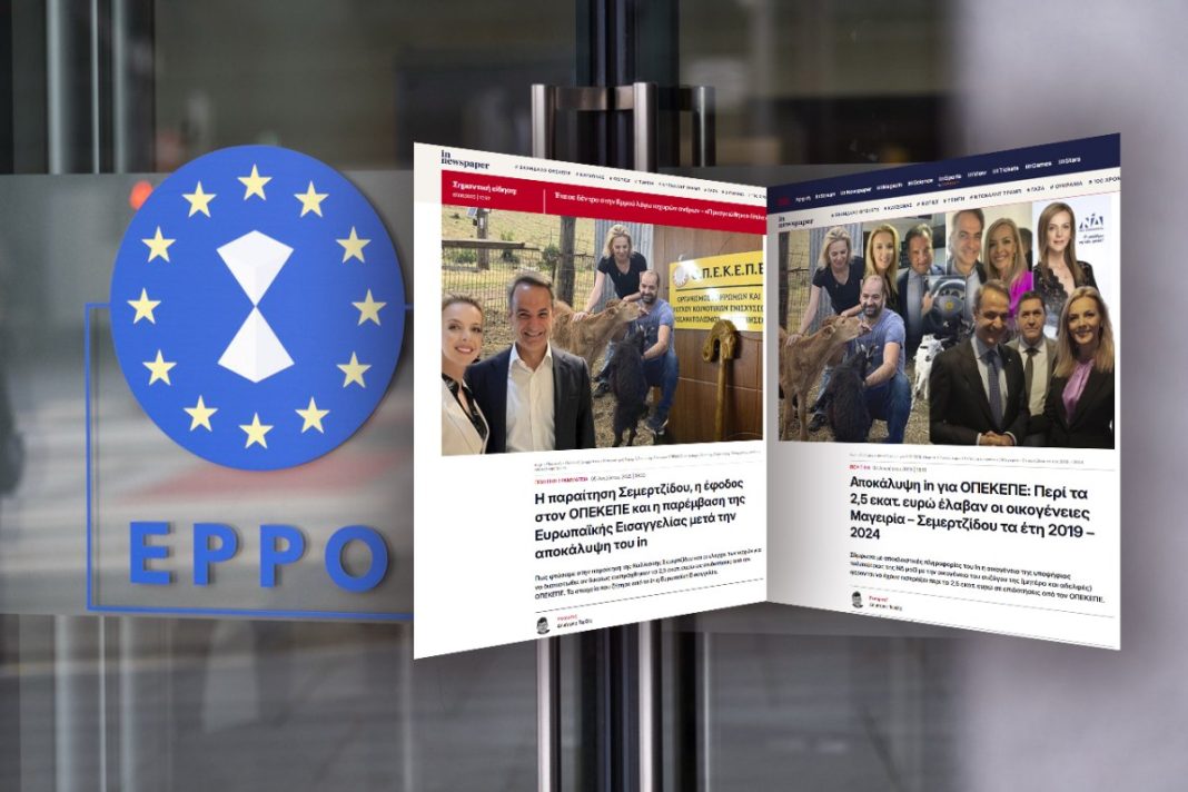 photo_2025-08-07_12-08-54-copy-1200x800