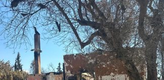 Δραματική ιστορία πυρόπληκτου από την Πάτρα: Κάηκε το σπίτι και η ιτιά που φύτεψε στη μνήμη της κόρης του